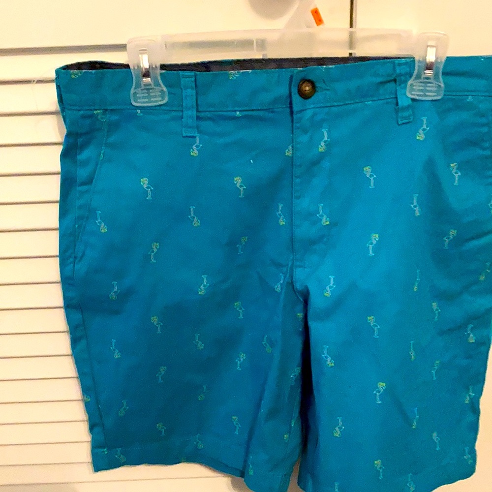 Turquoise shorts with Flamingo logo